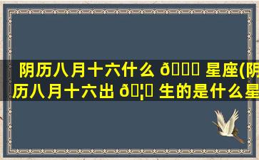 阴历八月十六什么 🐋 星座(阴历八月十六出 🦅 生的是什么星座的)